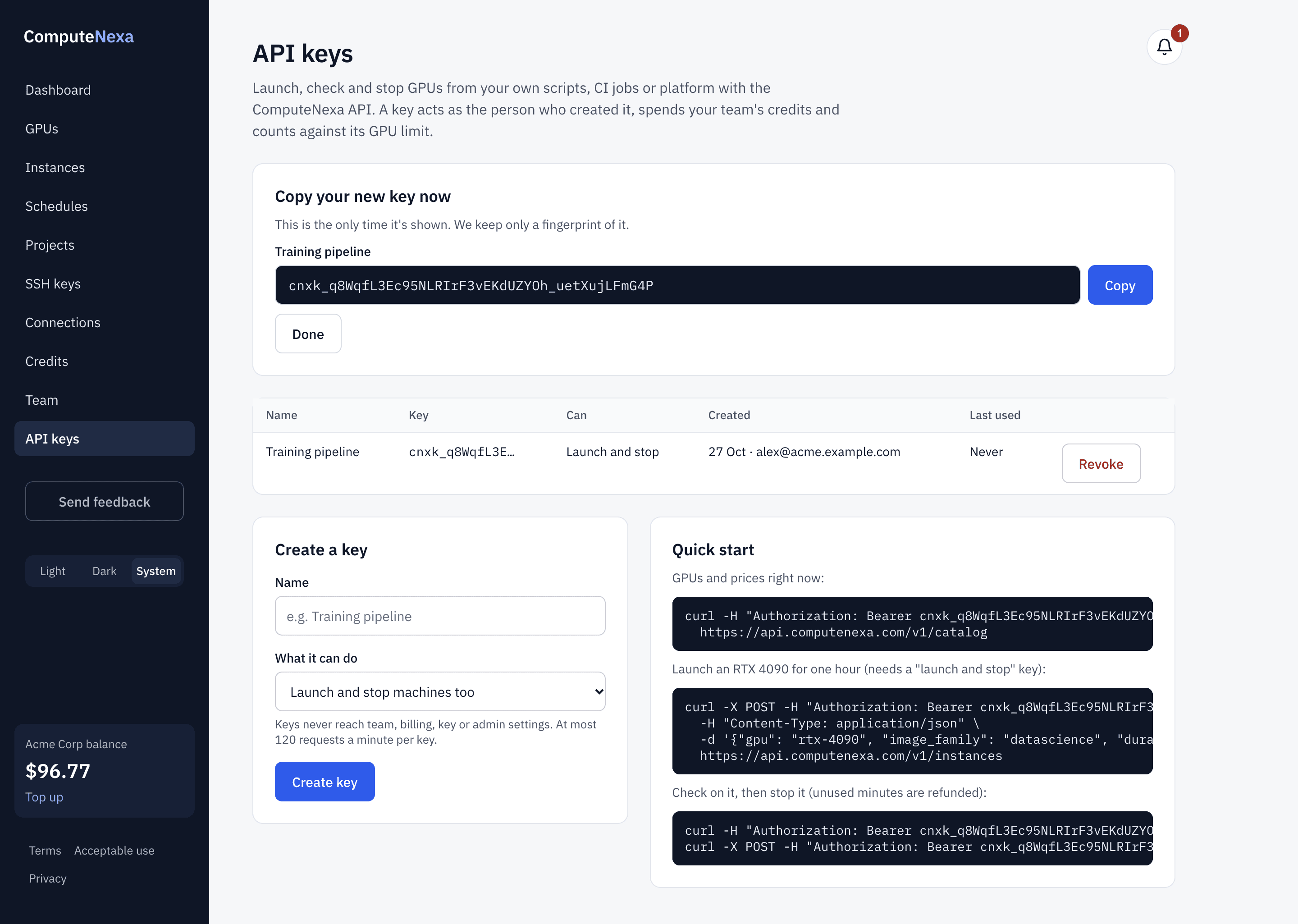 A new key is shown once, with copy-ready examples